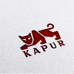 Kapur