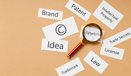 Trademark and Copyright Considerations