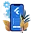 Flutter App Development Company in Delhi